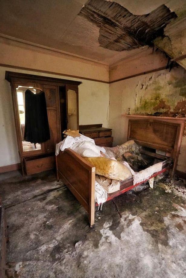 海外网红探索苏格兰五十年前破败旧宅在厨房中发现猫咪木乃伊