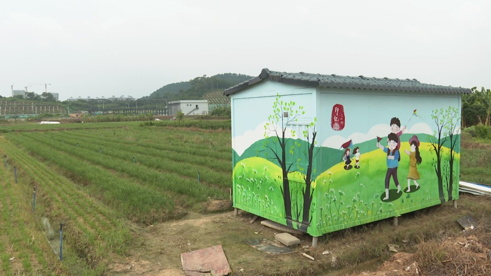 广州增城破旧看护房变身田间一景