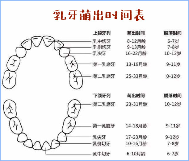 宝宝几个月长牙算正常乳牙萌出时间信号护理注意家长收藏