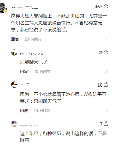 “两面人”小S的结局，早在7年前就已经注定了