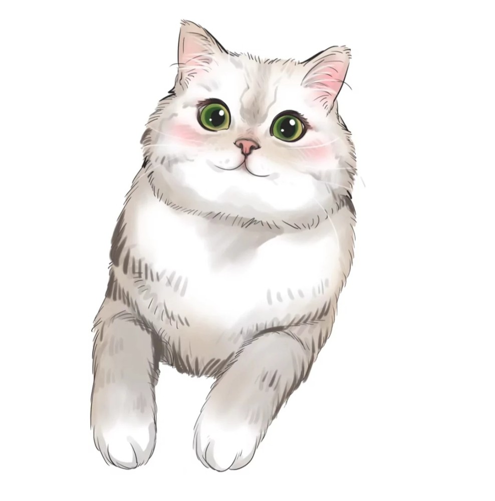 动物#宠物猫#动物手绘 绕过山河错落才发现你是人间烟火