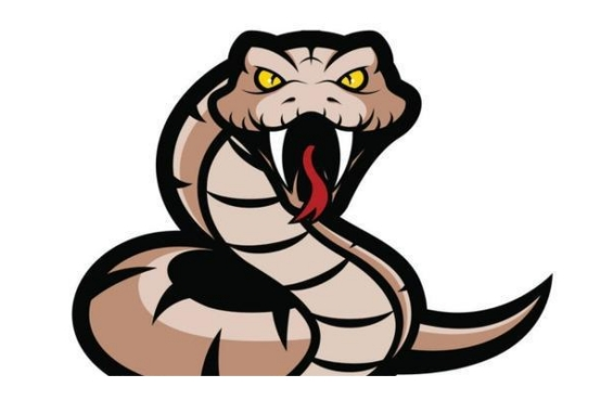 专家炫耀毒蛇免疫力下一秒中毒身亡菲律宾眼镜蛇有多恐怖