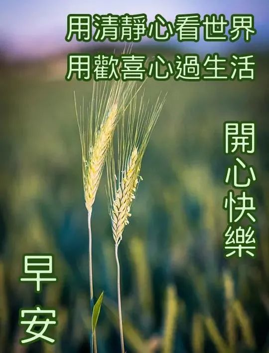 9張夏日有創意的友情早上好免打字圖片帶祝福語 2021夏日溫馨的大家