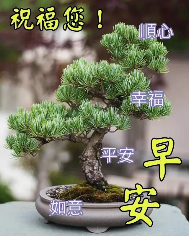 有创意的友情早上好免打字图片带祝福语温馨的大家早上好问候语说说