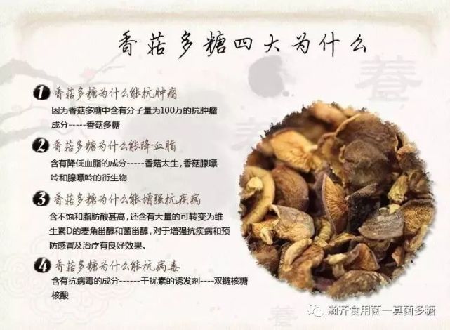 "食用菌"的药用价值|食用菌|多糖|细胞|灵芝|香菇