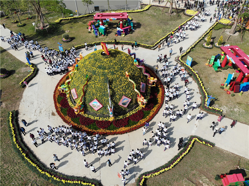 百年中山|1994年,小榄菊花大会盛况空前