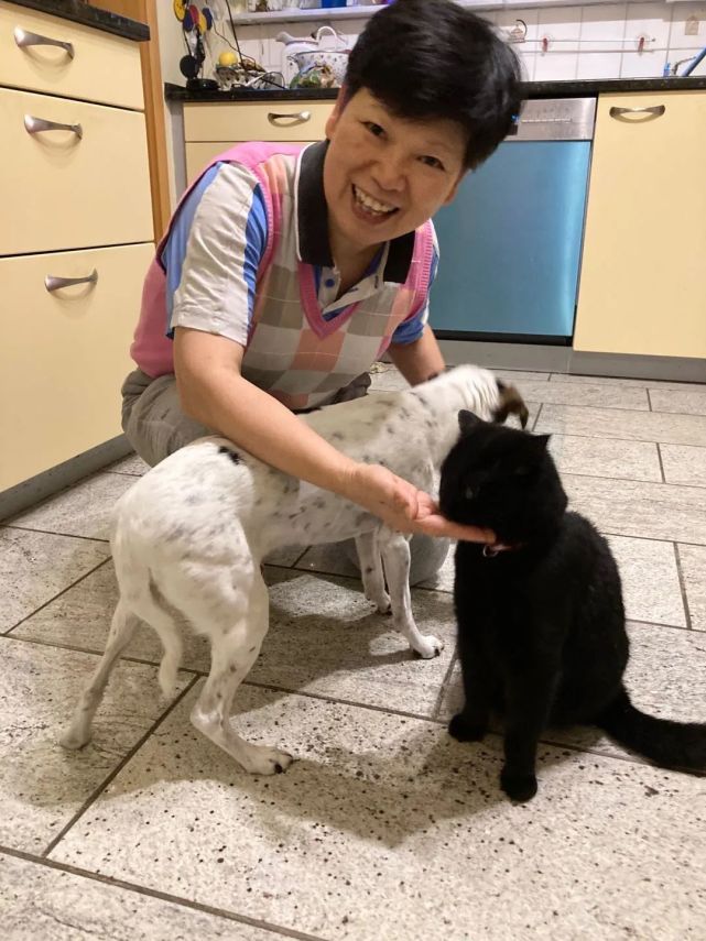 奥运会乒乓球历史上年纪最大的选手倪夏莲:我的幸运几乎不可复制