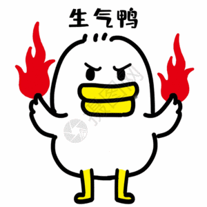 要说这几天最让人生气的就是毛某宁了,那这个毛某宁到底干了什么?