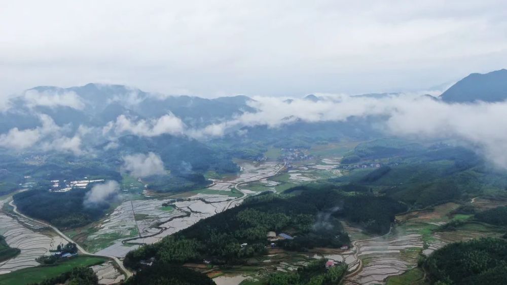 闽北美景浦城忠信镇雨后清晨醉美田野一幅绿色生态画卷缓缓展开