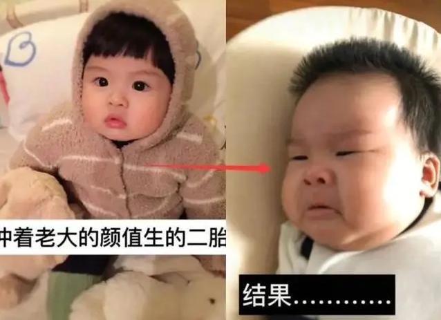 大宝的排行_嘉宝莉、三棵树、巴德士、大宝等民营涂企登上2019全球顶级涂料制造...