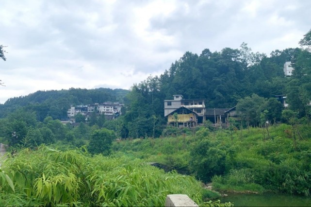 长寿村村支书淳泽伦,彭水县中医院副院长,该院健康帮扶分管领导孙涛声