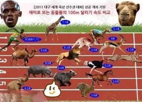 亮回复|博尔特百米速度在动物界属于什么水平