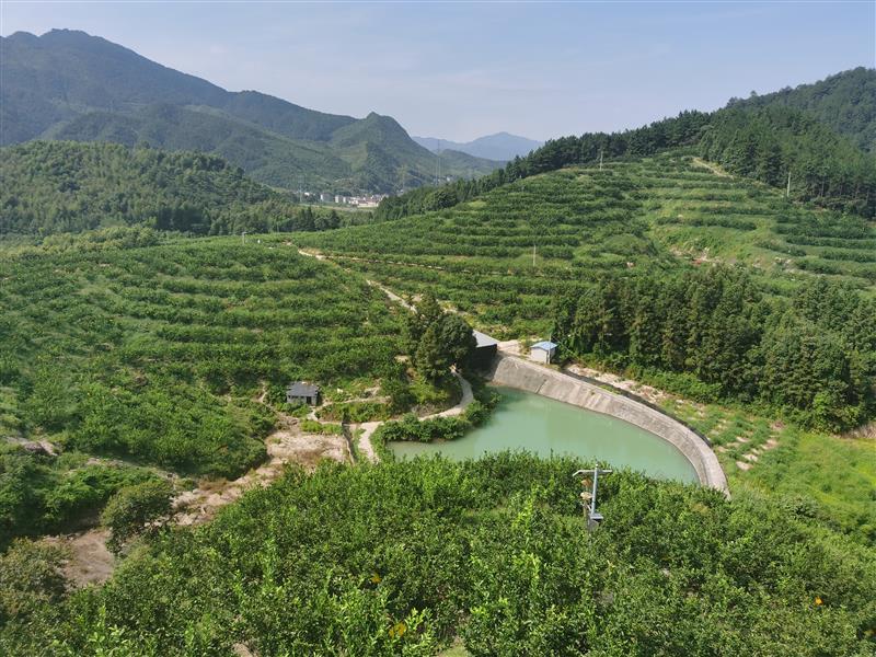 舟山和丽水这两个偏僻低调的小村庄,凭啥在全国率先提出"零碳村"