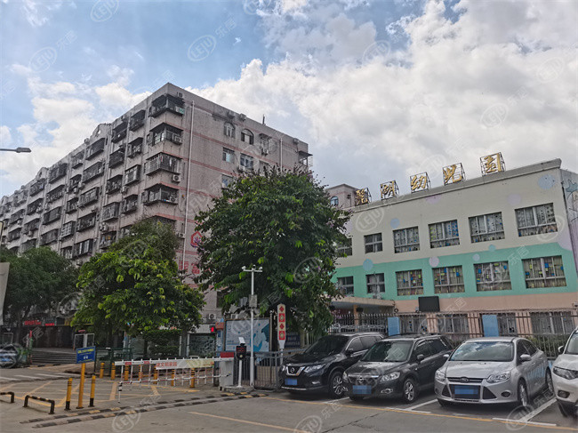 较大规模的有布吉一村,布吉新村,长龙新村,下水径新村等