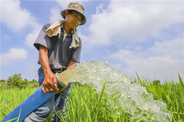 抽水防旱(央广网发 张玉摄)
