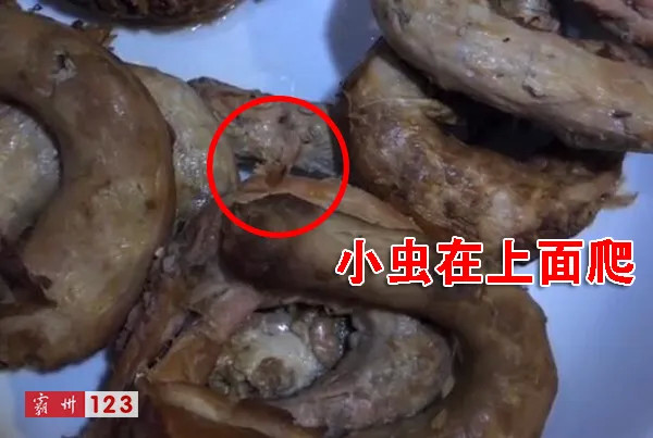 顾客反映霸州一烤肉店蝇虫乱飞鸡脖上虫子爬