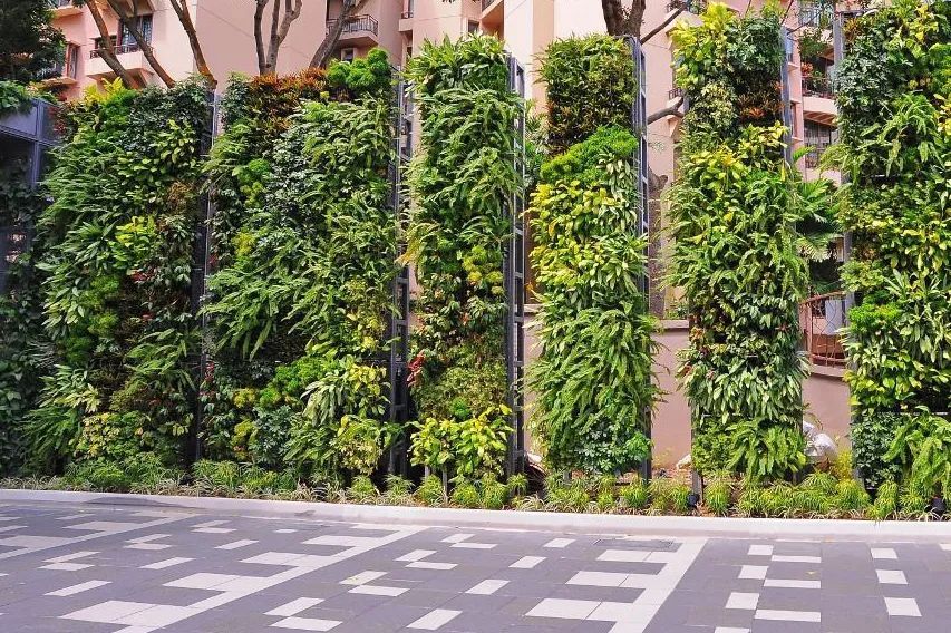 关于城市植物景观绿化墙那些不为人知的小秘密