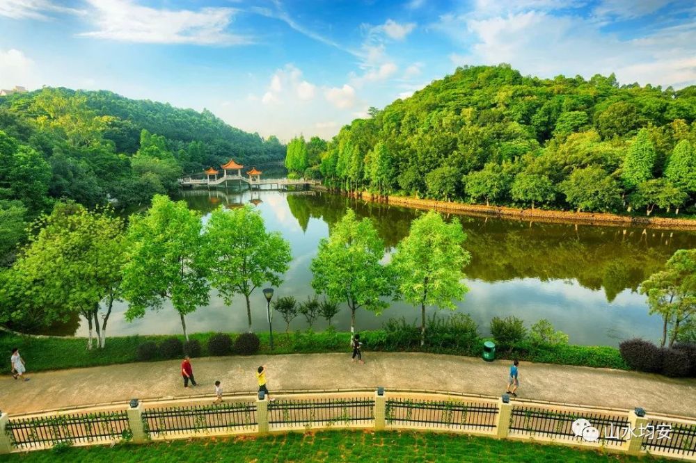 李小龙乐园:城市中央绿心尤得大自然的偏爱位居顺德西南开放门户的