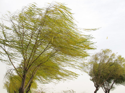 地理视角看风力,风速,风向,附高中地理16种风知识点大集合