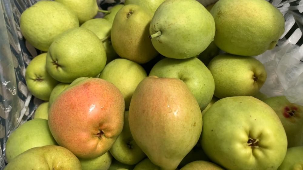 麦地湾梨是云龙县的五大地标产品之一,随着麦地湾梨品牌的不断做强