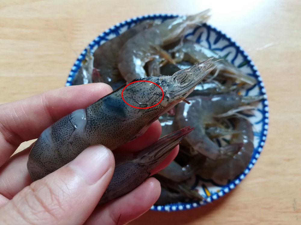 剪掉,小小的眼睛和尖尖的像刺一样的部位也剪掉,图片上红圈这里是虾胃