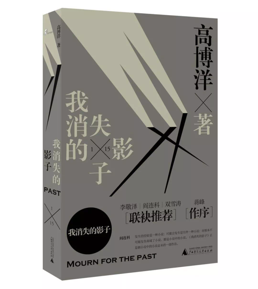 回到文学本体勇敢尝试高博洋用手艺人态度写我消失的影子