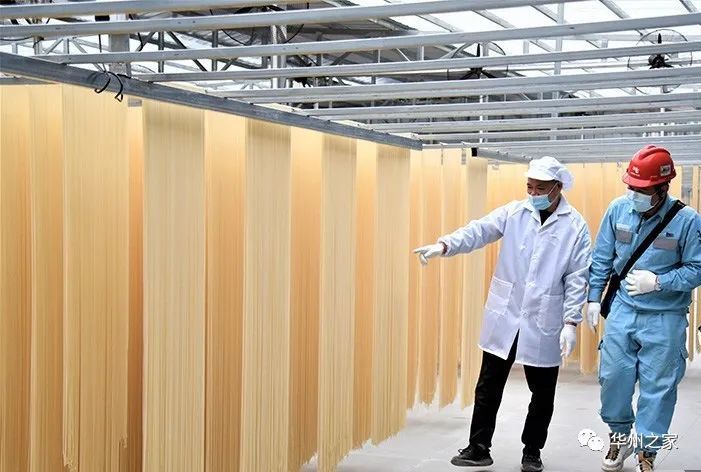 华州区投资2000万将新建一个挂面生产基地
