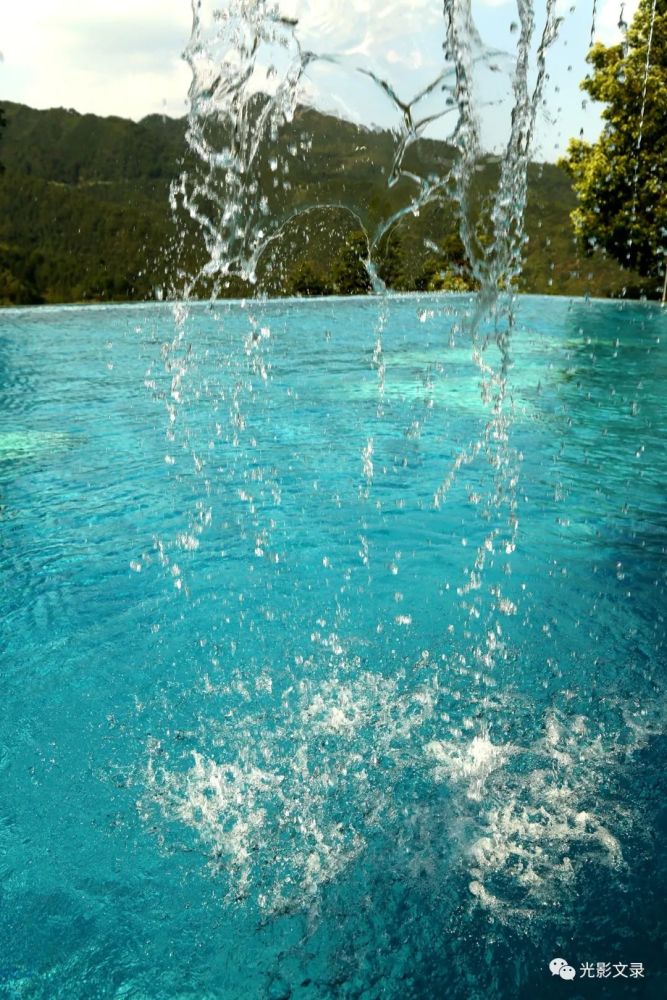 一池碧水绿了谁的心思