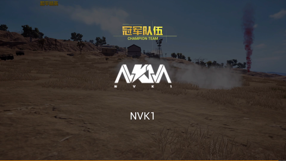 nvk1战队图片