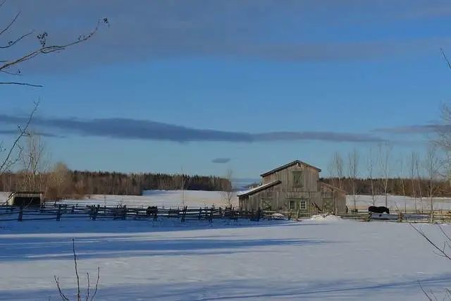 每日星座运势查询21年8月5日 红榜 腾讯新闻