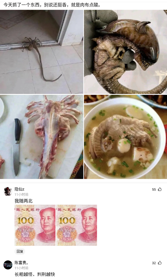 那几个老是给我点沙雕站出来今天又手痒了你看着办吧 打开腾讯新