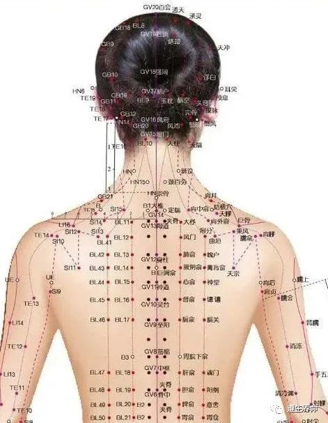 每日一穴——天柱穴的准确位置图,艾灸按摩天柱穴的作用及功效