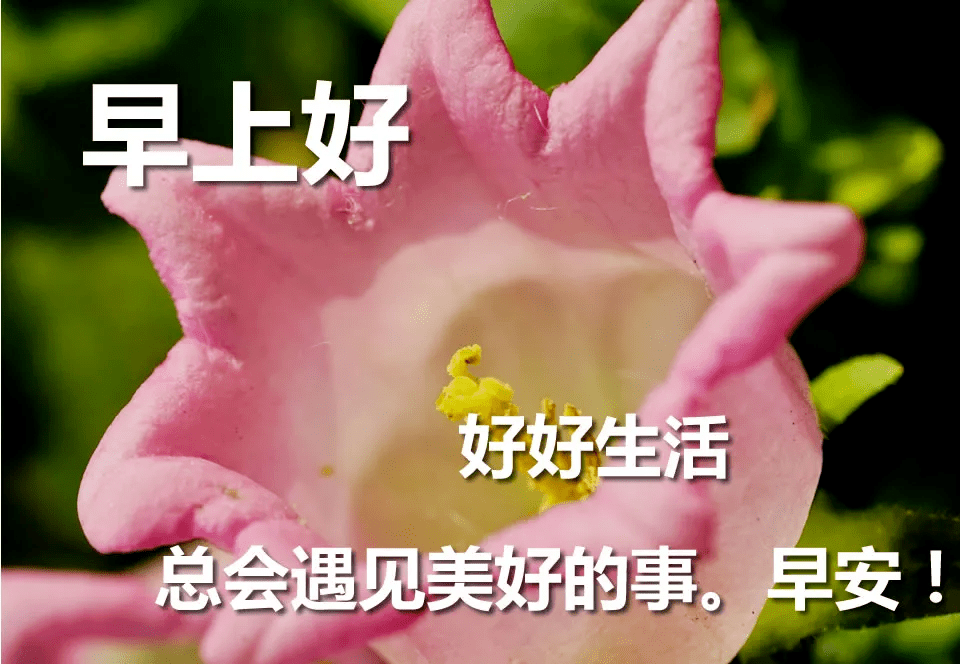 早上好朋友炎炎夏日送清凉早上好图片吉祥早上好问候发给朋友们