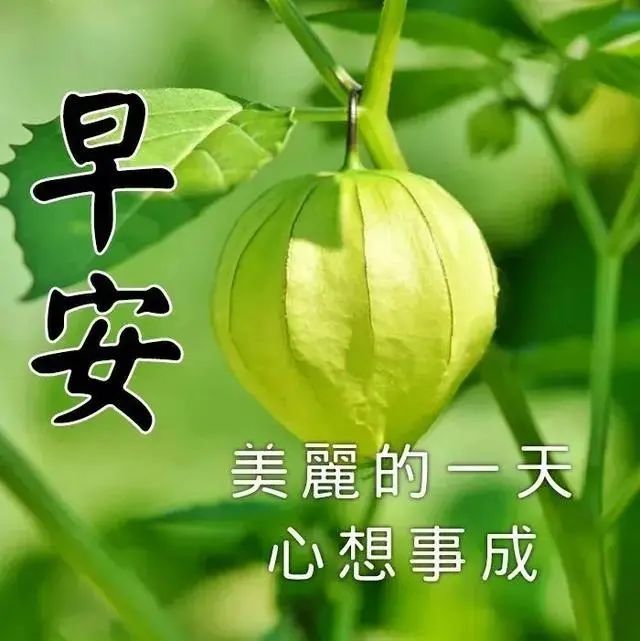 早上好朋友夏季超暖心早安問候語祝福語短信最新早安問候祝福動態表情