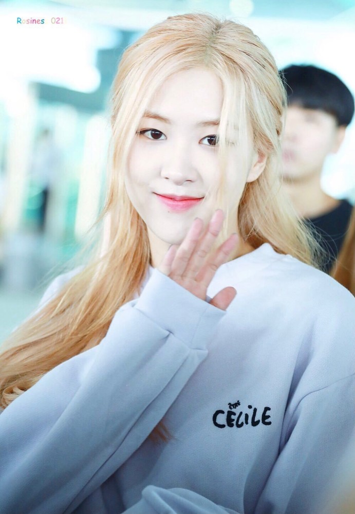 罗婕机场图澳洲野玫瑰