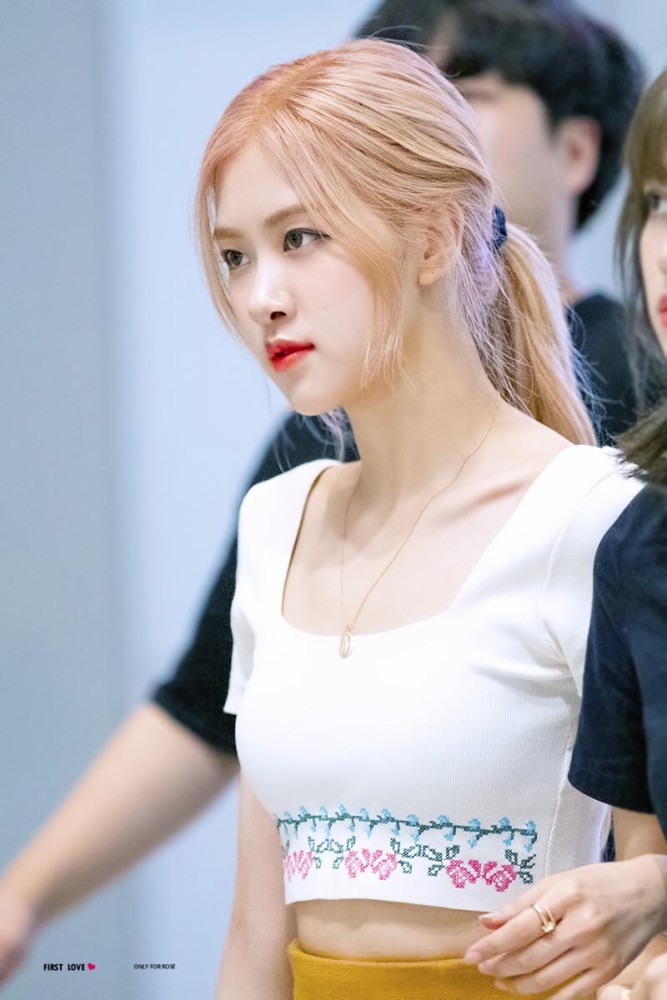 罗婕机场图澳洲野玫瑰