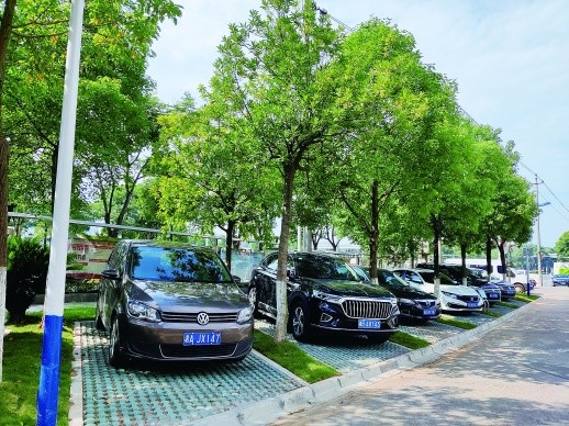 缓解停车难绿树底下挤出生态停车位