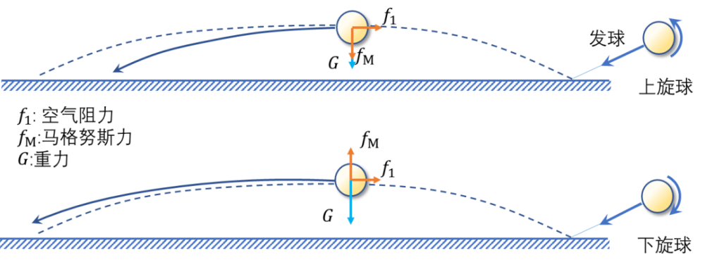 三分钟学会(废)弧圈球!乒乓球运动员人均力学高手?_腾讯新闻