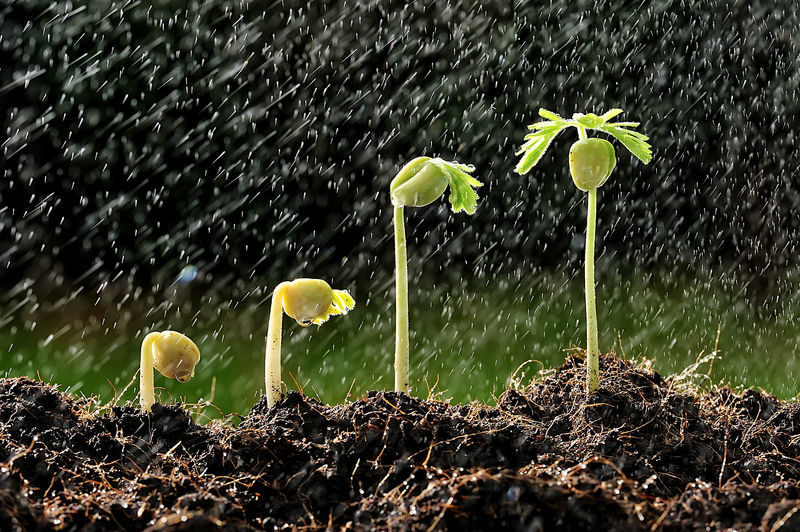 立秋這天下雨好還是晴天好今年收成到底好不好答案來了