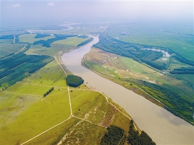 又见鱼鸟共生 那条熟悉的辽河回来了