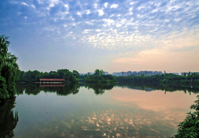 成都三環內小眾公園人少景美超適合成華區朋友飯後休閒遛彎