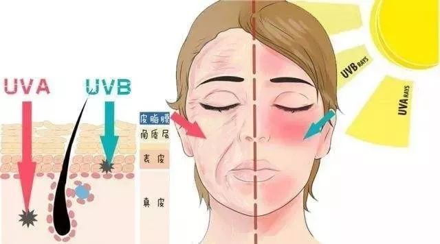 护肤手法不对会把皱纹抹出来!