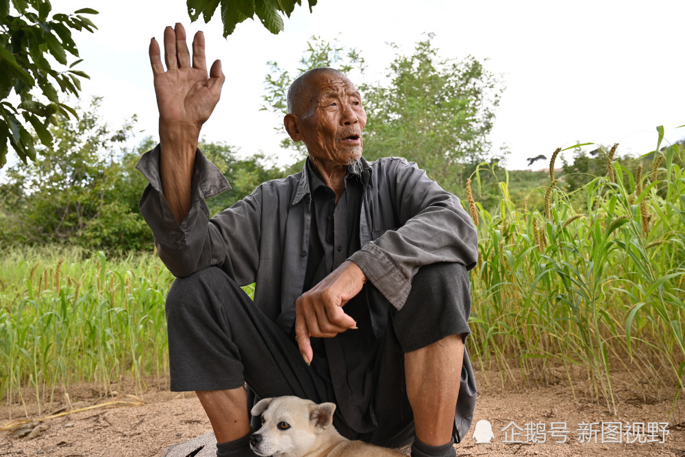 大山里的汉子图片