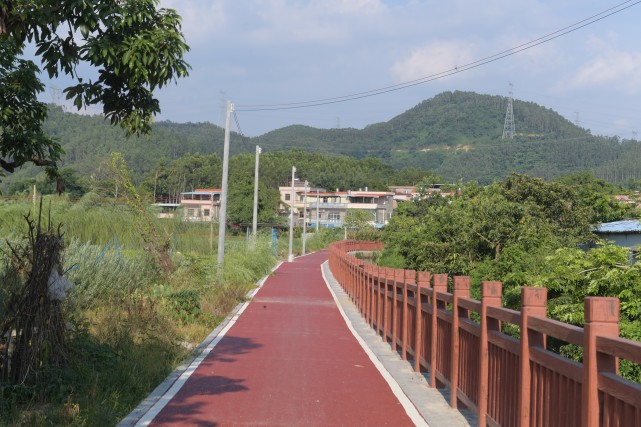 景区就在家门口,增城这个生态宜居的美丽乡村藏不住了