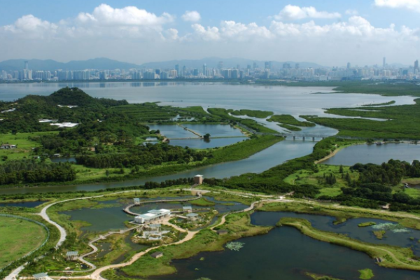 这座公园的名字叫做西岑湿地公园,位于浙江省乐清市北白象镇白象大道