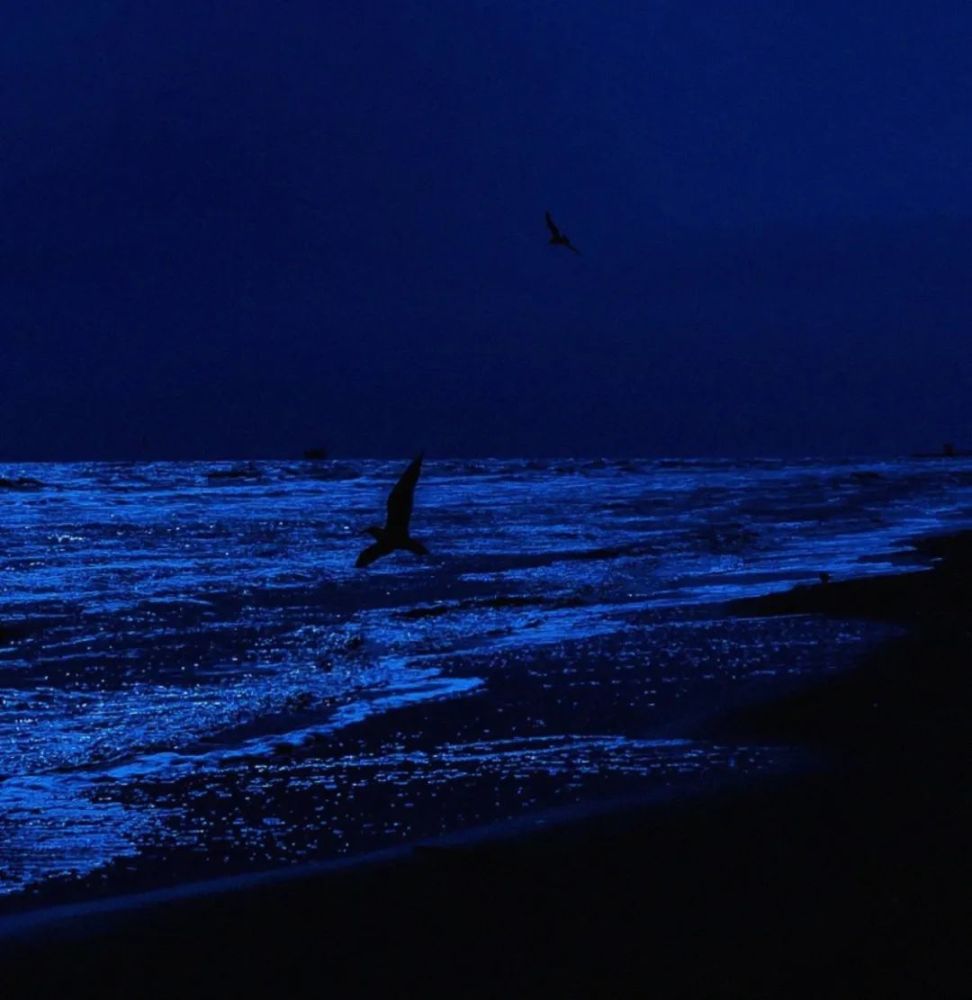 克莱因蓝背景图86