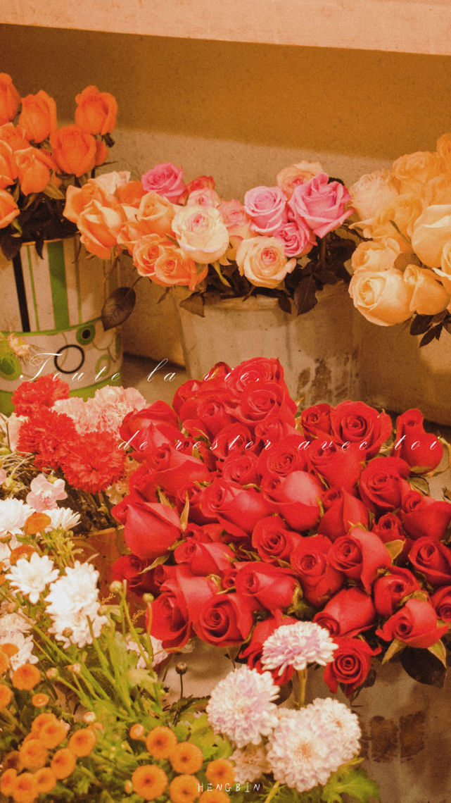 全面屏壁纸 代号红玫瑰