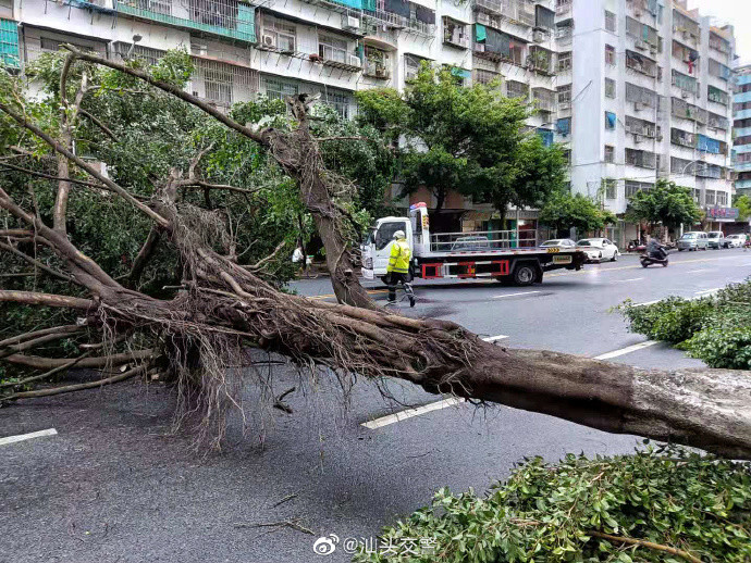 汕头交警台风卢碧