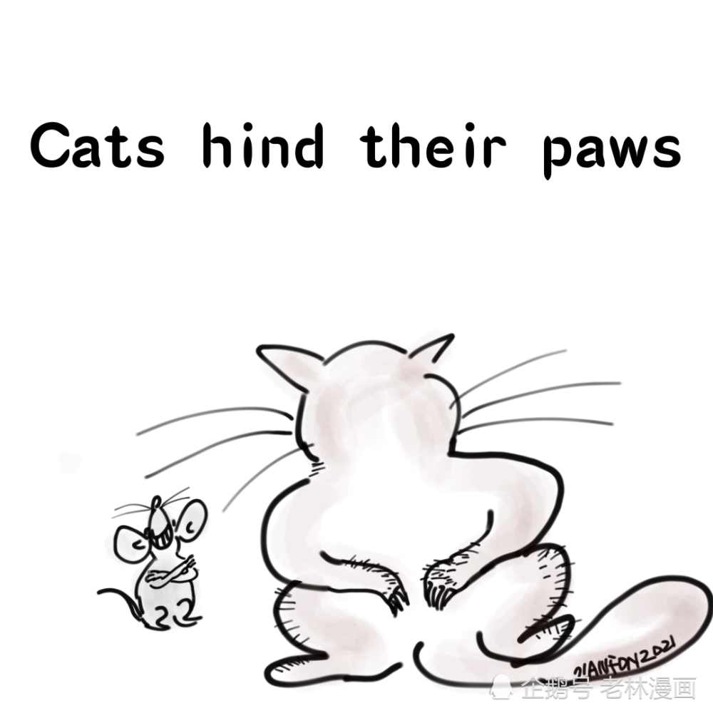 英语名言警句漫画02 腾讯新闻