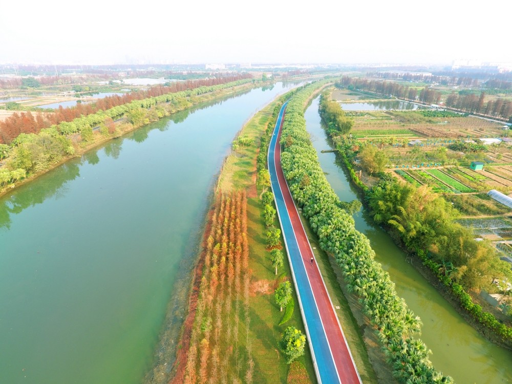 建议收藏广东最适合户外运动的20条绝美碧道